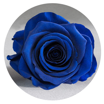 The Queens Long Lasting Roses In a Box - Image 3