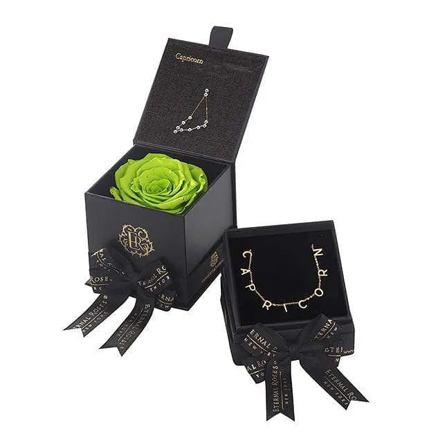 Capricorn Astor Box & Necklace Bundle - Image 20