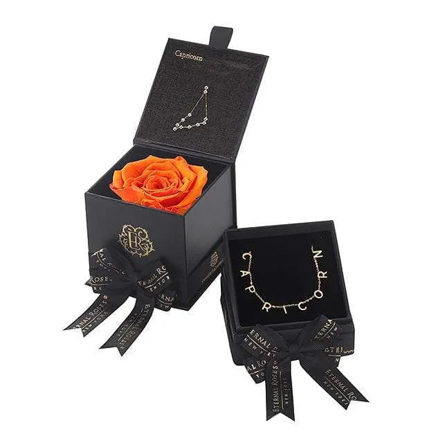 Capricorn Astor Box & Necklace Bundle - Image 8