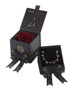 Capricorn Astor Box & Necklace Bundle