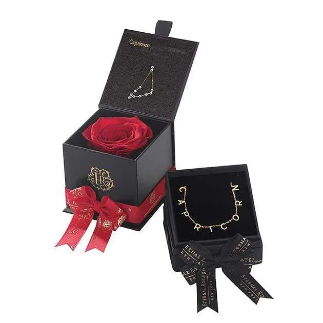 Capricorn Astor Box & Necklace Bundle - Image 3