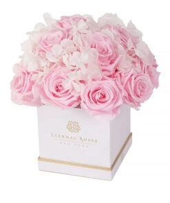 Half Moon Lennox Gift Box in Pink Martini, Small Lennox Collection