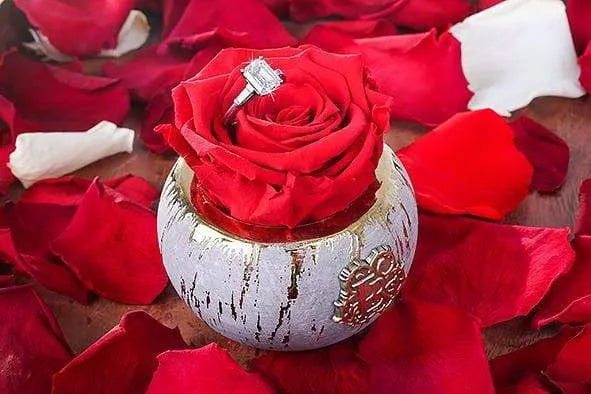 Mini Tiffany Eternal Luxury Rose - Image 4