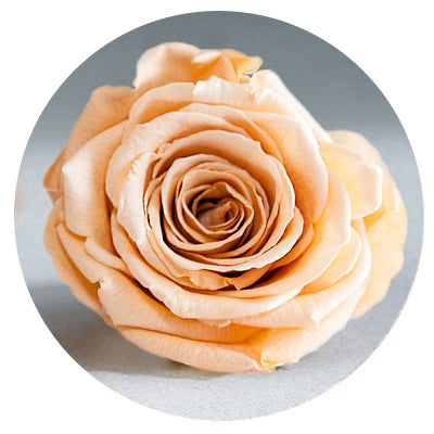 Red Velvet Heart Box with Mini Roses - Image 4