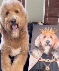 Crowned King Custom Pet Portrait