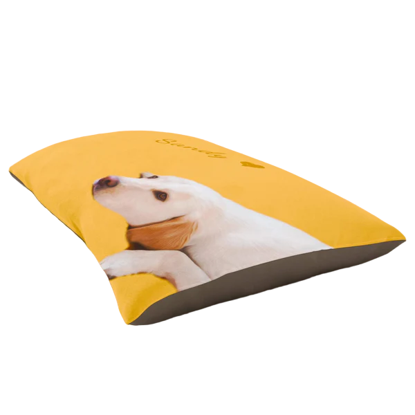 Custom Pet Beds for Dogs and Cats