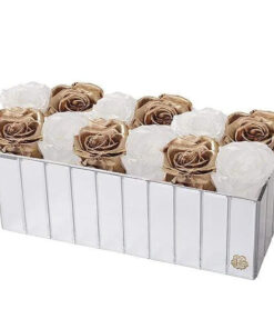 Forever Roses Gift Box | Lexington Large Box of Roses