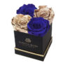 Graduation Day Lennox Gift Box Small in Royal Gold