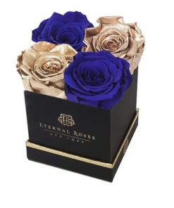 Graduation Day Lennox Gift Box Small in Royal Gold
