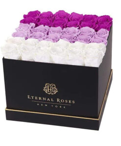 Lennox Grand Lux Gift Box in Ombre