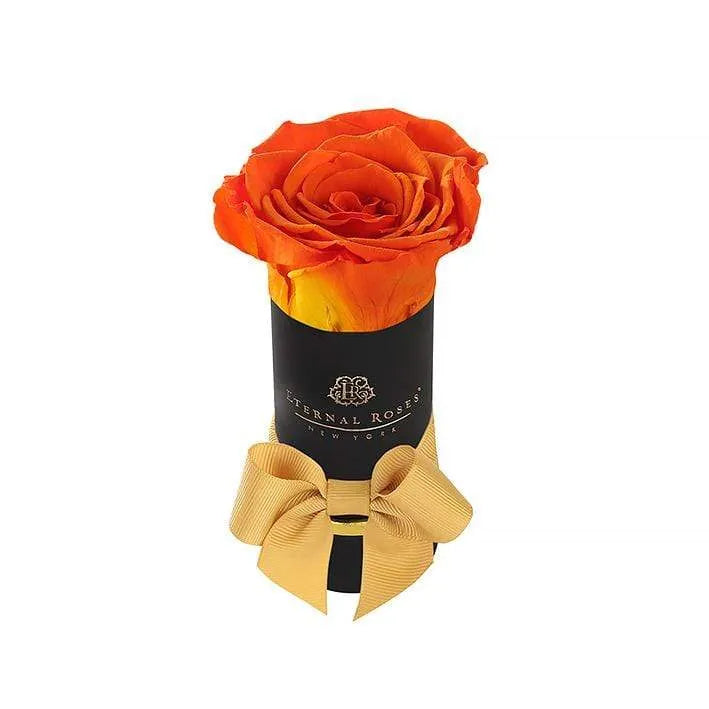 Liberty Eternal Rose Gift Box - Image 38