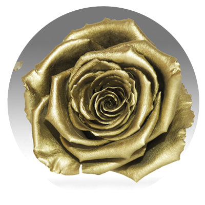 The Queens Long Lasting Roses In a Box - Image 10