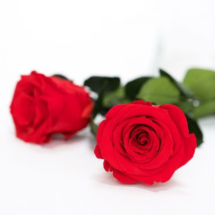 Clear Heart Box - Image 4