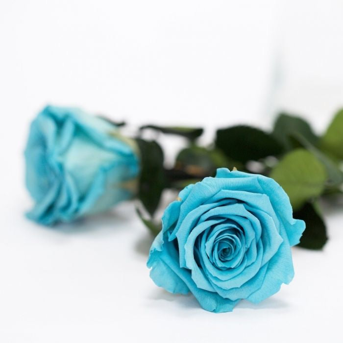 Clear Heart Box - Image 7