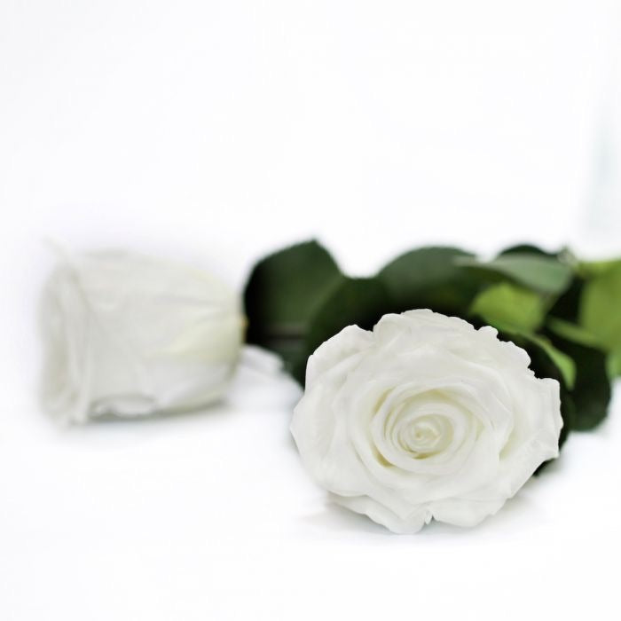 Clear Heart Box - Image 3