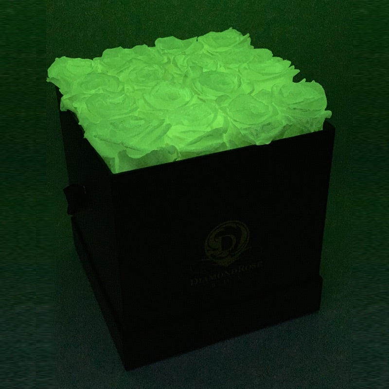 Glow in the Dark Roses - Image 2