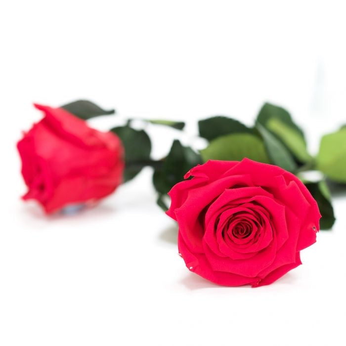 Clear Heart Box - Image 5