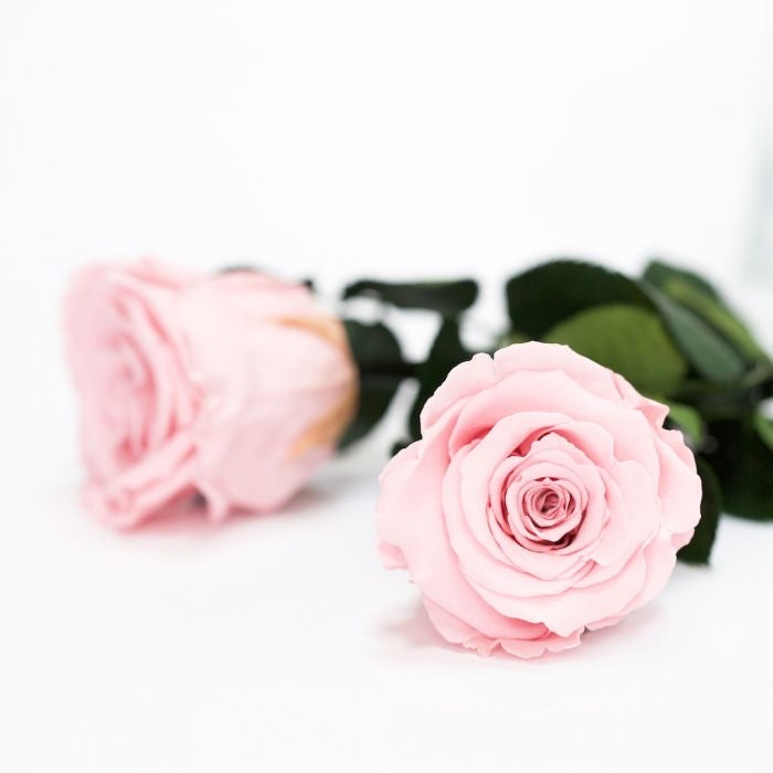 Clear Heart Box - Image 6