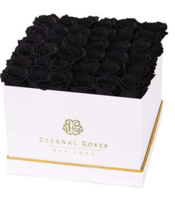 Lennox Grand Eternal Rose Gift Box | Midnight Black Roses