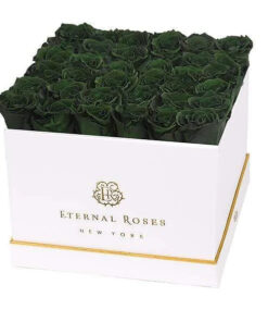 Lennox Grand Gift Box White in Wintergreen