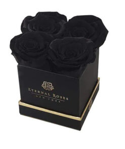 Lennox Small Gift Box with Midnight Black Roses