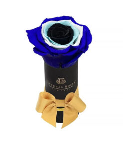 Liberty Eternal Rose Black Gift Box in Evil Eye