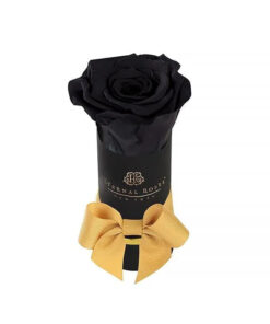Single Black Rose-Liberty Eternal Rose in Midnight