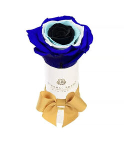 Liberty Eternal Rose White Gift Box in Evil Eye