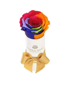 Liberty Gift Box White in Rainbow Eternal Rose