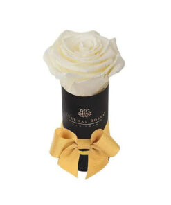 Liberty Special Gift Box in Canary | Single Rose