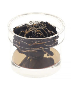 Madison Round Gold Gift Box in Midnight