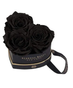 Black Roses - Mini Chelsea Gift Box in Midnight