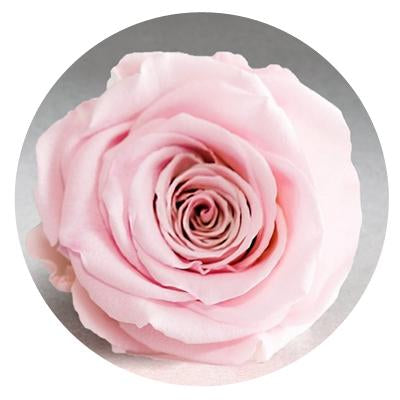 Red Velvet Heart Box with Mini Roses - Image 6