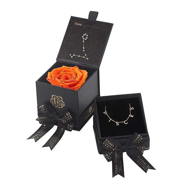 Pisces Astor Box & Necklace Bundle - Image 19