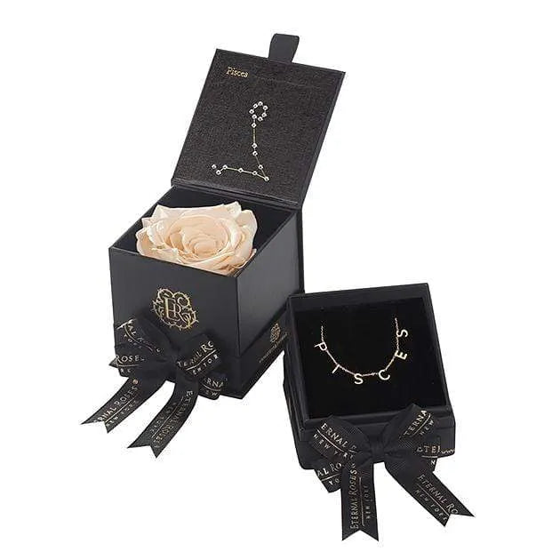 Pisces Astor Box & Necklace Bundle - Image 18