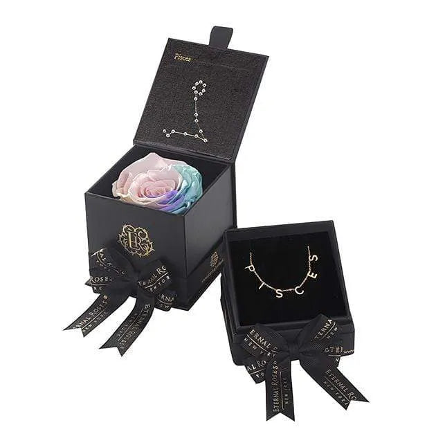 Pisces Astor Box & Necklace Bundle - Image 7