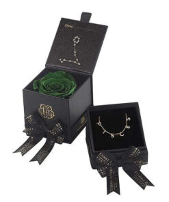 Pisces Astor Box & Necklace Bundle