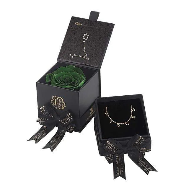 Pisces Astor Box & Necklace Bundle