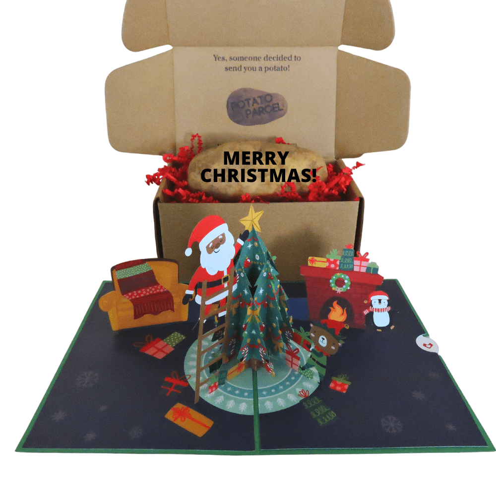 Potato Christmas Bundle