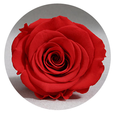 The Queens Long Lasting Roses In a Box - Image 5