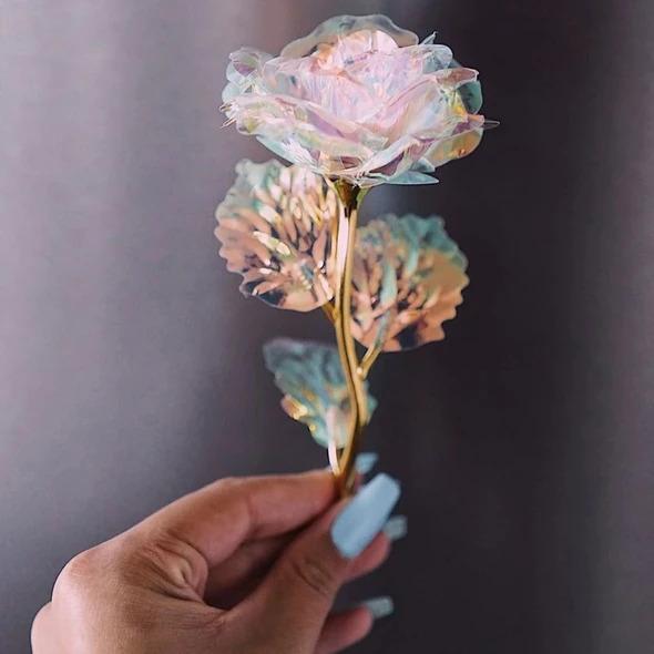 Galaxy Rose - Image 3