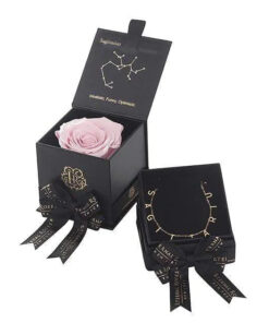 Sagittarius Astor Box & Necklace Bundle
