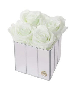 Spring New Limited Edition Lexington Gift Box