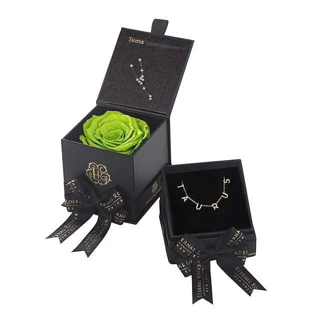 Taurus Astor Box & Necklace Bundle - Image 2