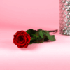 Long Stem Forever Roses