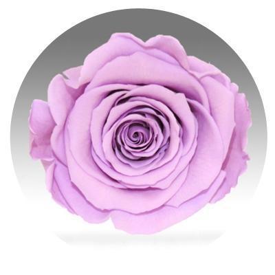 Red Velvet Heart Box with Mini Roses - Image 12