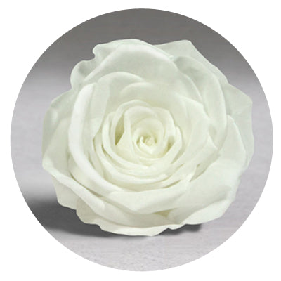 The Queens Long Lasting Roses In a Box - Image 8