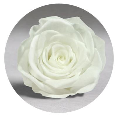 Red Velvet Heart Box with Mini Roses - Image 9