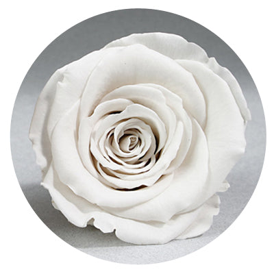 The Queens Long Lasting Roses In a Box - Image 9